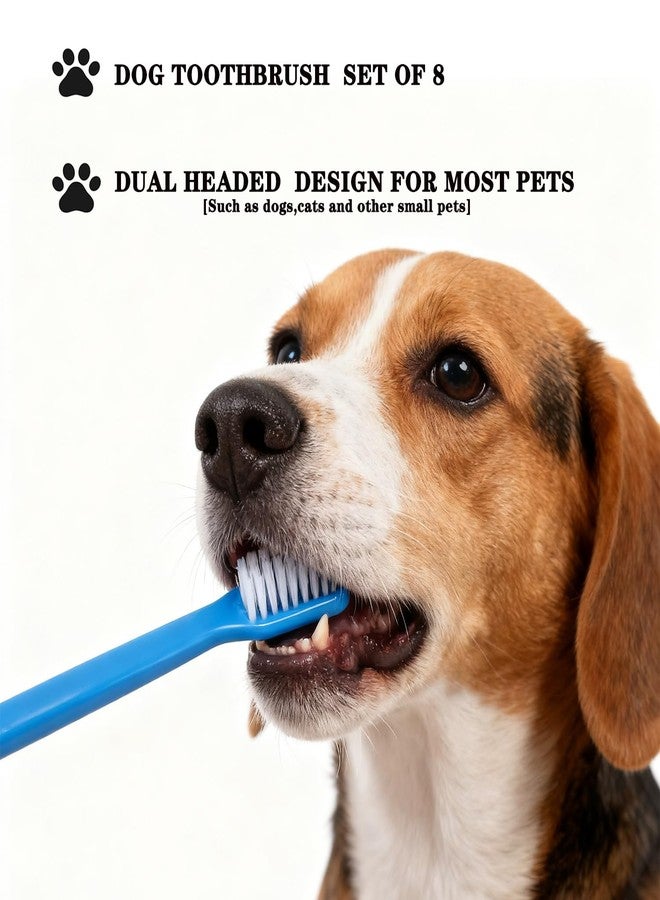 YMCCOOL Dog Toothbrush Set of 8 – Dual Headed Dental Hygiene Brushes for Small to Large Dogs, Easy Teeth Cleaning & Dental Care,Dog Tooth Brushes for Small to Large Dogs, Cats, and Most Pets - Image 5